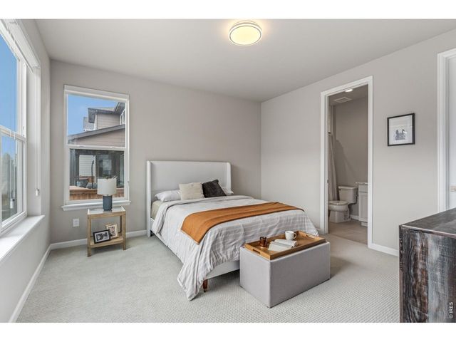 4392 Shivaree St, Timnath, CO 80547