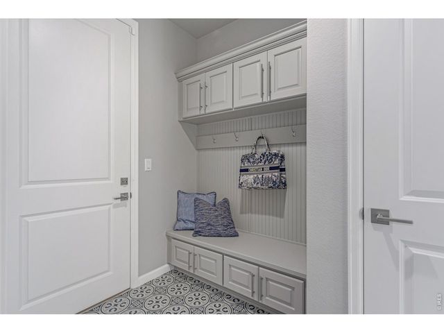 4392 Shivaree St, Timnath, CO 80547