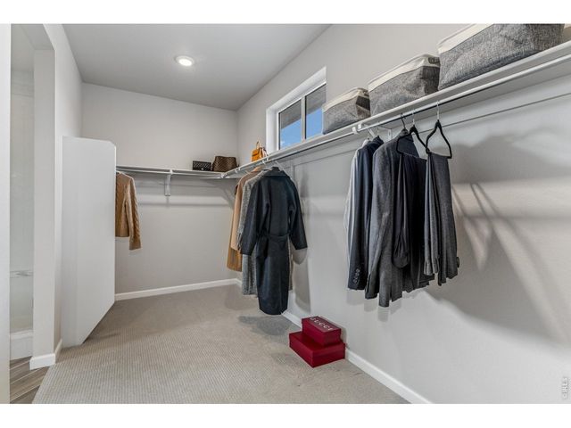 4392 Shivaree St, Timnath, CO 80547