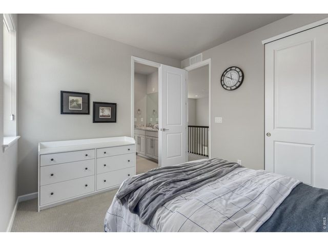4392 Shivaree St, Timnath, CO 80547