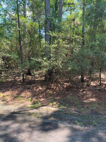 22251,22255,22259 Poland Spring Way, Huntsville, TX 77320