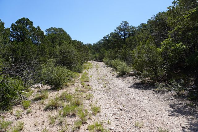 263 FIVE HILLS Drive, Tijeras, NM 87059