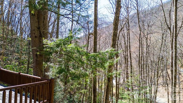 3458 Dicks Creek Road, Whittier, NC 28789