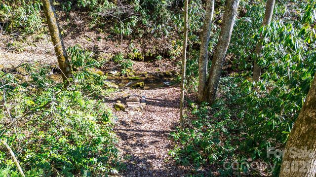 3458 Dicks Creek Road, Whittier, NC 28789