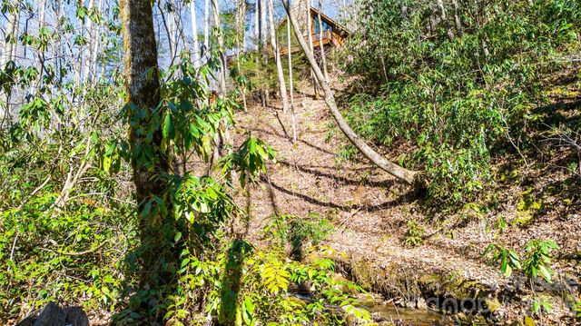 3458 Dicks Creek Road, Whittier, NC 28789