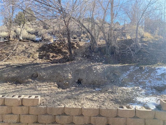 672 Murry Street, Ely, NV 89301