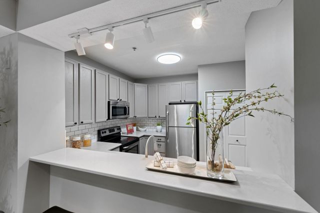 645 N 1st Street 305, Minneapolis, MN 55401