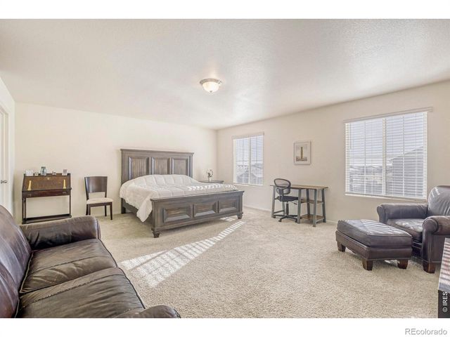 1690 Whiteley Drive, Windsor, CO 80550