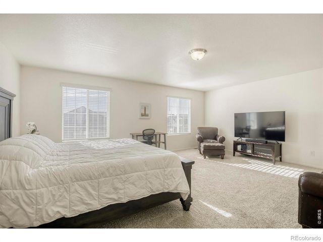 1690 Whiteley Drive, Windsor, CO 80550