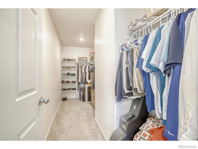 1690 Whiteley Drive, Windsor, CO 80550