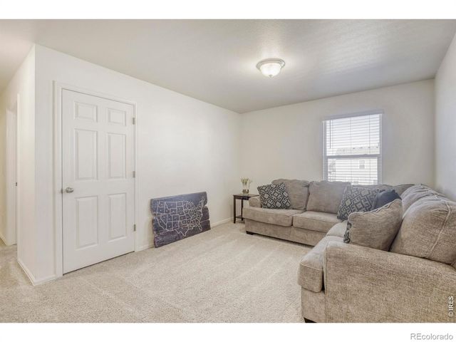 1690 Whiteley Drive, Windsor, CO 80550