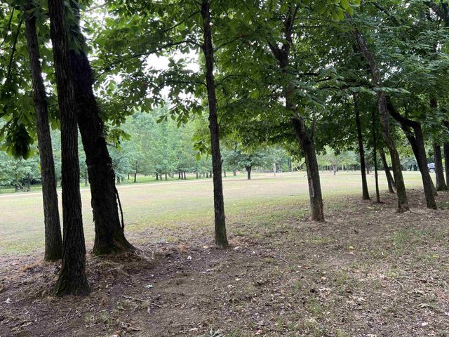 590 TOWBOAT LN, Adamsville, TN 38310