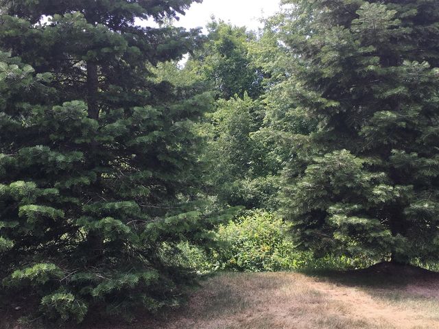 20209 Chesapeake Circle, Walled Lake, MI 48390