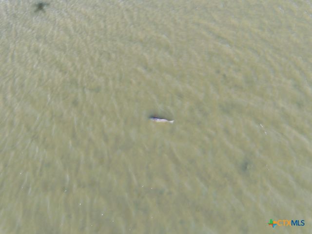 lot 7 Fivemile Trail, Palacios, TX 77465