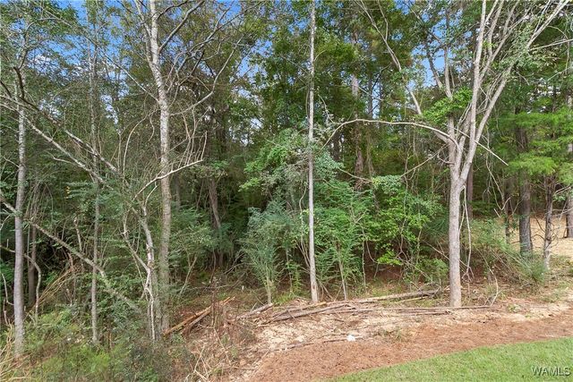 16423 Chase, Ralph, AL 35480