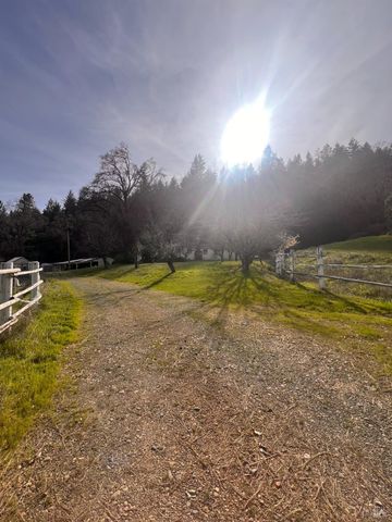 78951 Zenia Rd, Covelo, CA 95428
