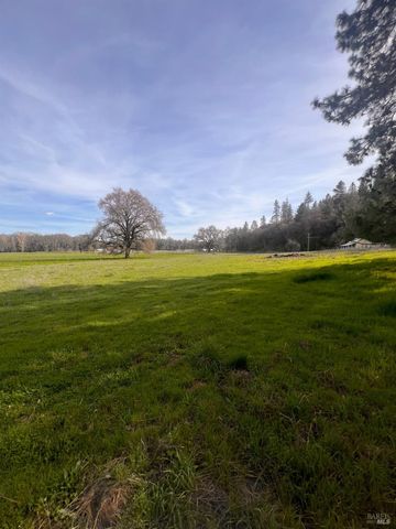 78951 Zenia Rd, Covelo, CA 95428