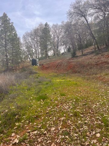 78951 Zenia Rd, Covelo, CA 95428