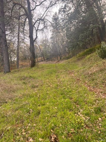 78951 Zenia Rd, Covelo, CA 95428