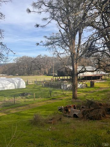 78951 Zenia Rd, Covelo, CA 95428