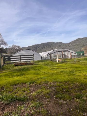 78951 Zenia Rd, Covelo, CA 95428