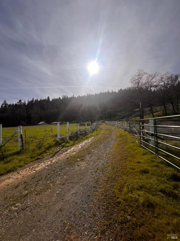 78951 Zenia Rd, Covelo, CA 95428