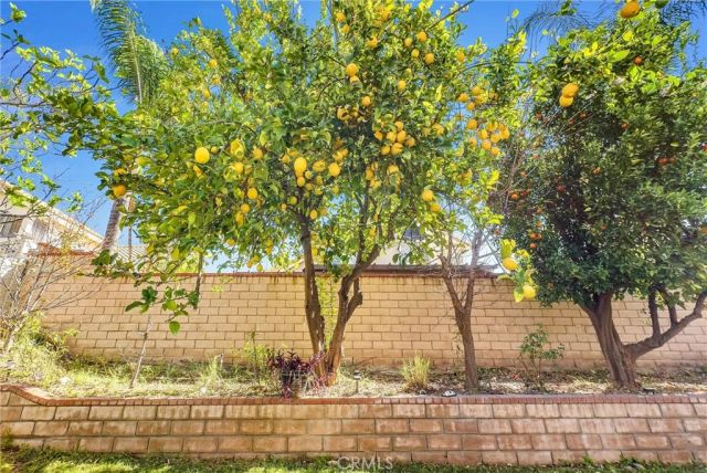 7437 Red Clover Way, Highland, CA 92346