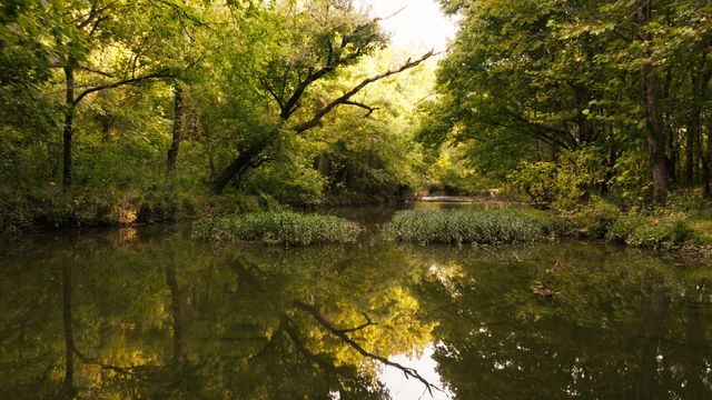 9944 Maupin Rd, Brentwood, TN 37027