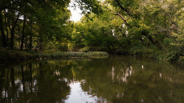 9944 Maupin Rd, Brentwood, TN 37027