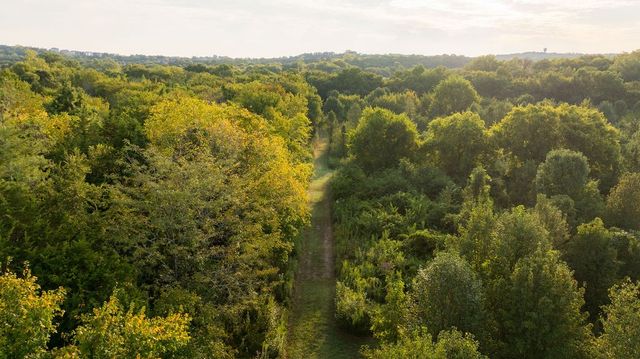 9944 Maupin Rd, Brentwood, TN 37027