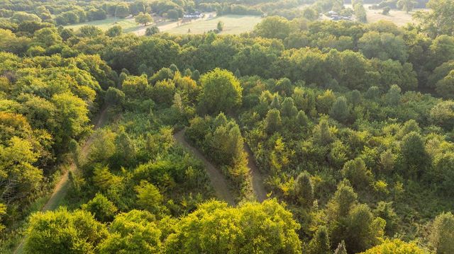 9944 Maupin Rd, Brentwood, TN 37027