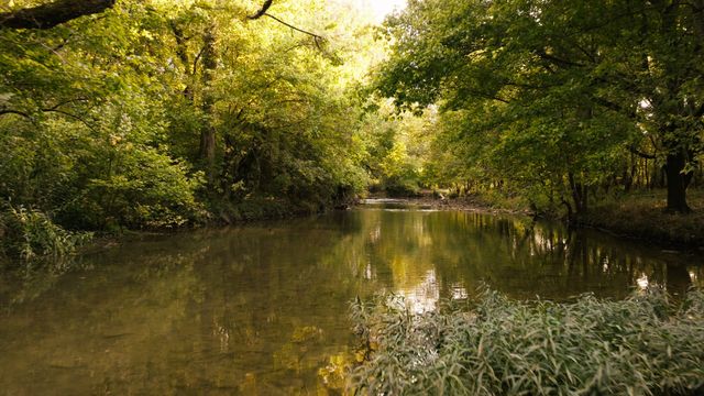 9944 Maupin Rd, Brentwood, TN 37027