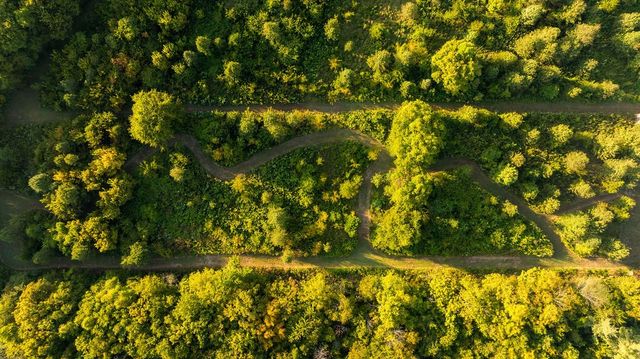 9944 Maupin Rd, Brentwood, TN 37027