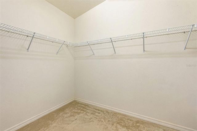 6613 BLUFF MEADOW COURT, Wesley Chapel, FL 33545