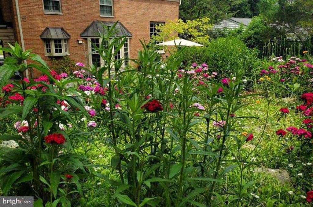 Image 39 of property listing at 9005 GREYLOCK ST, Alexandria, VA 22308