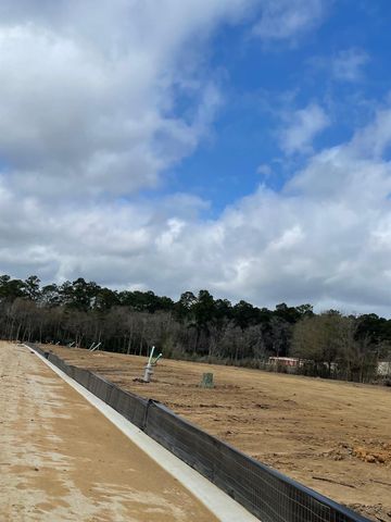 12140 Ruffian Drive, Willis, TX 77318