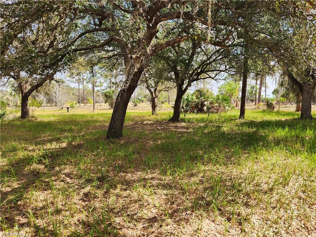1975 Phillips RD, LABELLE, FL 33935 — photo 2