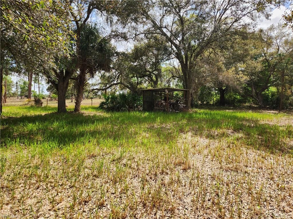 1975 Phillips RD, LABELLE, FL 33935 — photo 5