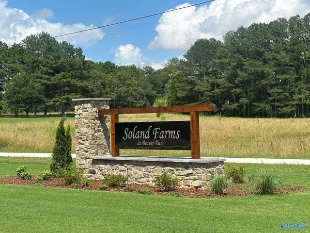 222 Soland Drive, Toney, AL 35773