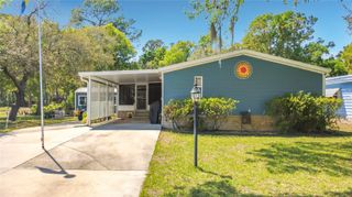 2523 KAREN DRIVE, Mount Dora, FL 32757