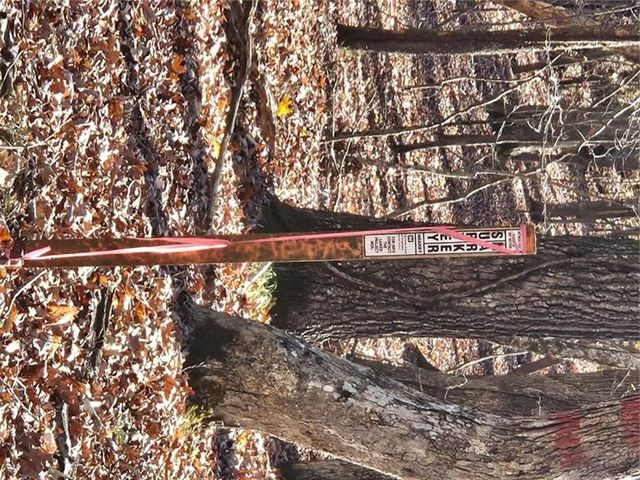 7629 Dogwood Way, Murrayville, GA 30564