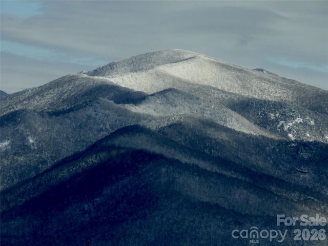 126 Wildflower Cove Drive, Swannanoa, NC 28778