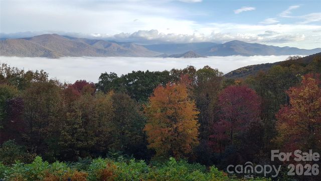 126 Wildflower Cove Drive, Swannanoa, NC 28778