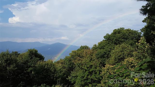 126 Wildflower Cove Drive, Swannanoa, NC 28778