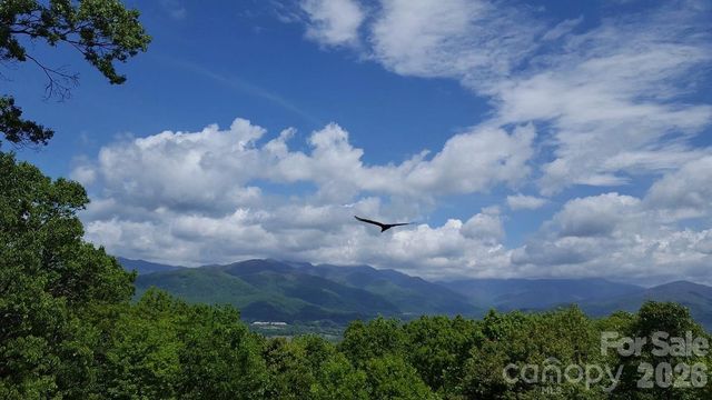 126 Wildflower Cove Drive, Swannanoa, NC 28778