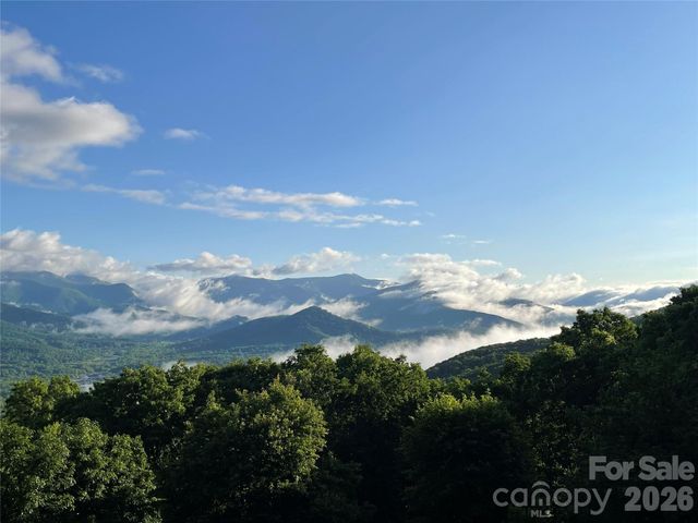 126 Wildflower Cove Drive, Swannanoa, NC 28778