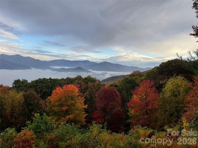 126 Wildflower Cove Drive, Swannanoa, NC 28778