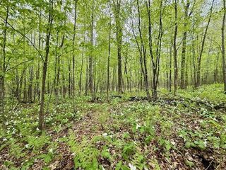 13107 W Peninsula Road, Hayward, WI 54843