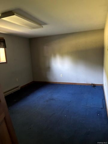 1140 Harvard Road, East Branch, NY 13756