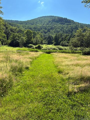 1140 Harvard Road, East Branch, NY 13756